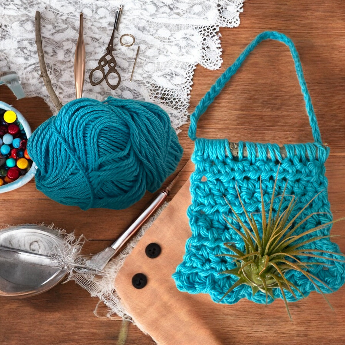 Air Plant Hanger Class