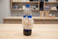 White Sheep Face Cup Wrap
