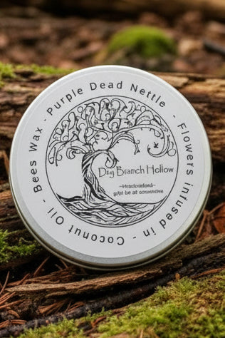 Dead Nettle Salve