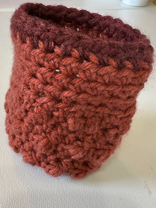 Brown Pint Cozy