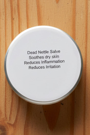 Dead Nettle Salve