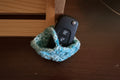 Key Fob or Ear Bud Holder