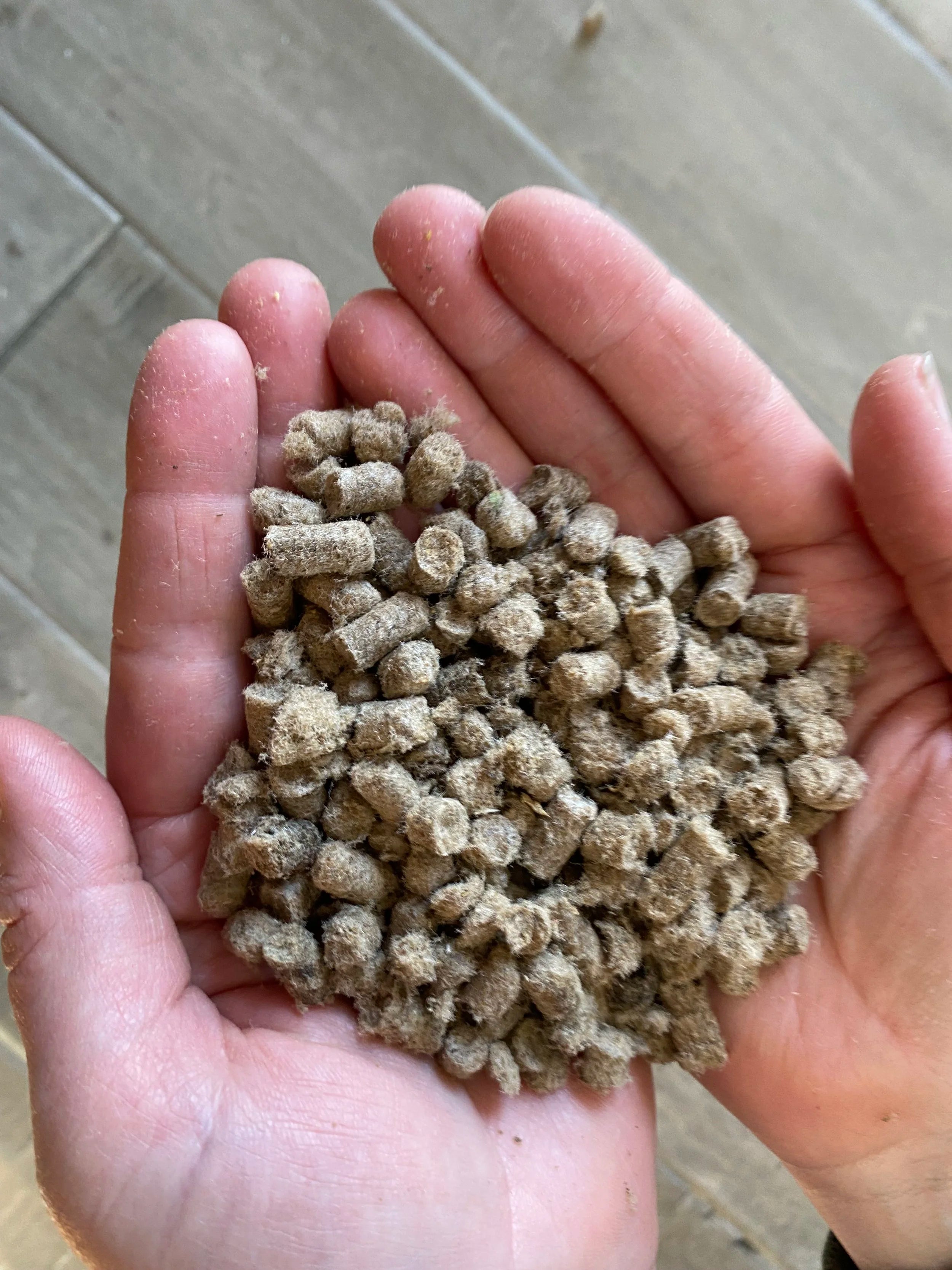 Wool Pellets 1 Pound Bags